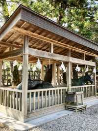 A Day with Trains & Tradition in Izumo