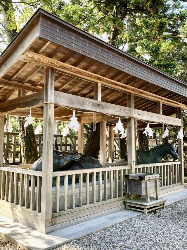 A Day with Trains & Tradition in Izumo