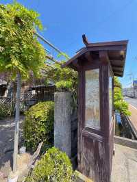 【伊豆 蓮台寺温泉】日本一の総檜風呂!!千人風呂✨混浴温泉の心得