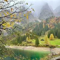 🏔️ *"Alpine Serenity: A Blissful Escape to Lake Gosau’s Emerald Shores"* 🌲💎