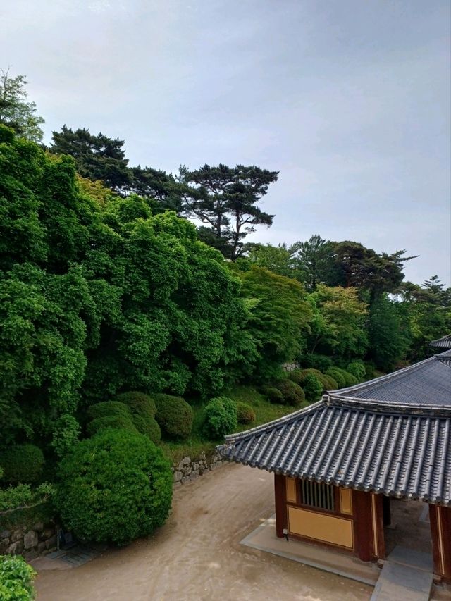 천년의 세월을 품은 시간 여행, 불국사