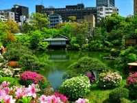 Sorakuen Garden – Kobe’s Hidden Oasis of Harmony