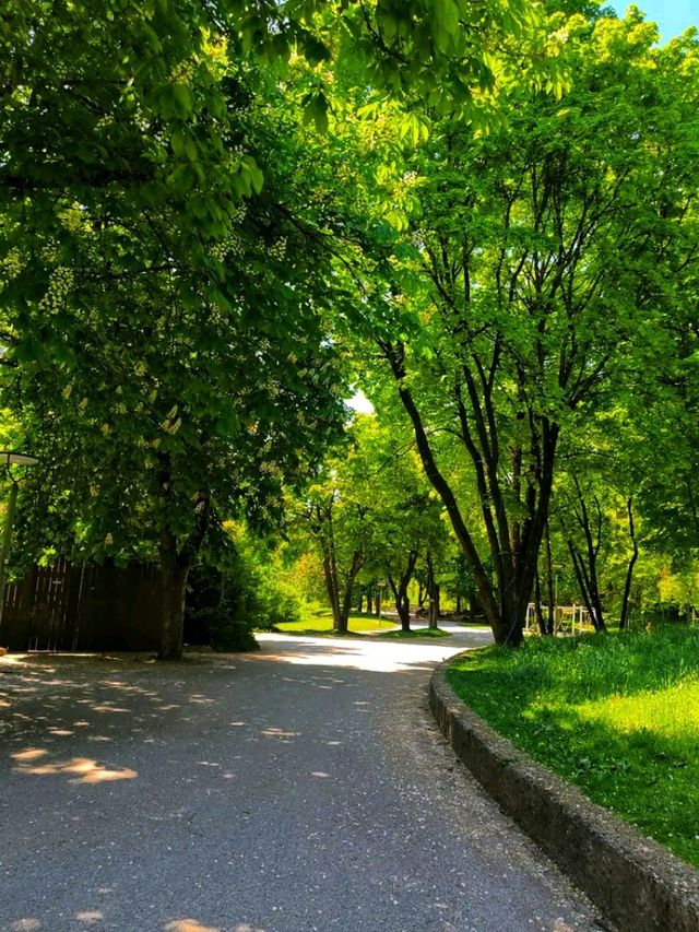 Westpark – Munich’s Cultural Garden Escape