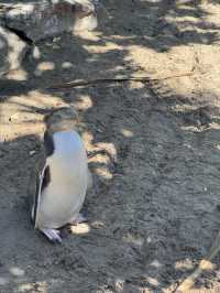 ニュージーランド大自然の旅