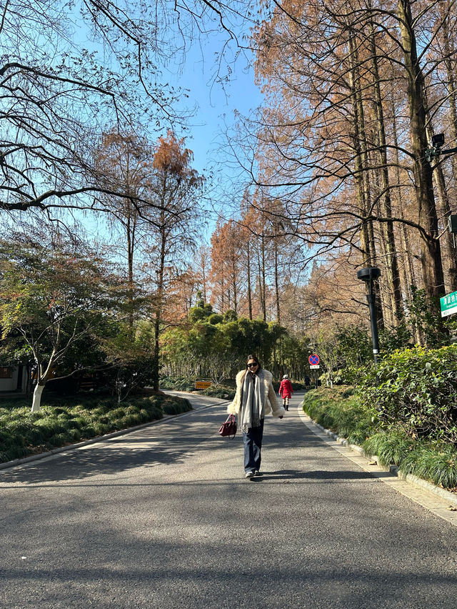 Explore the Beauty of Westlake in Hangzhou, China 🇨🇳 