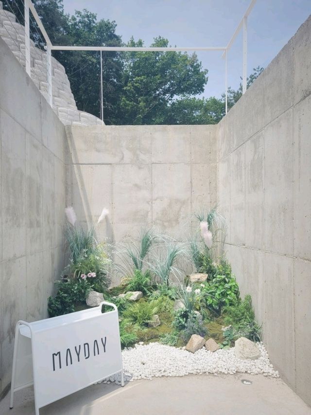 여주 대형 통창뷰카페💚메이데이