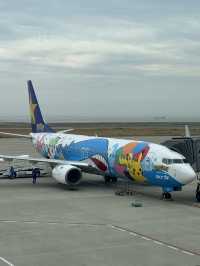 ✈️スカイマーク搭乗