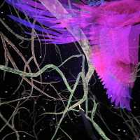 First Live Visit to My Favorite Light Art Museum — teamLab!
