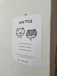 부산 광안리 귀여운 강아지 2마리가 있는”카페 피크닉“