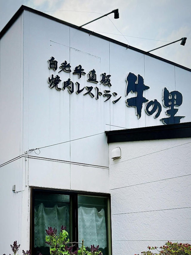 北海道🇯🇵 來白老町沒吃白老牛會被笑🤭