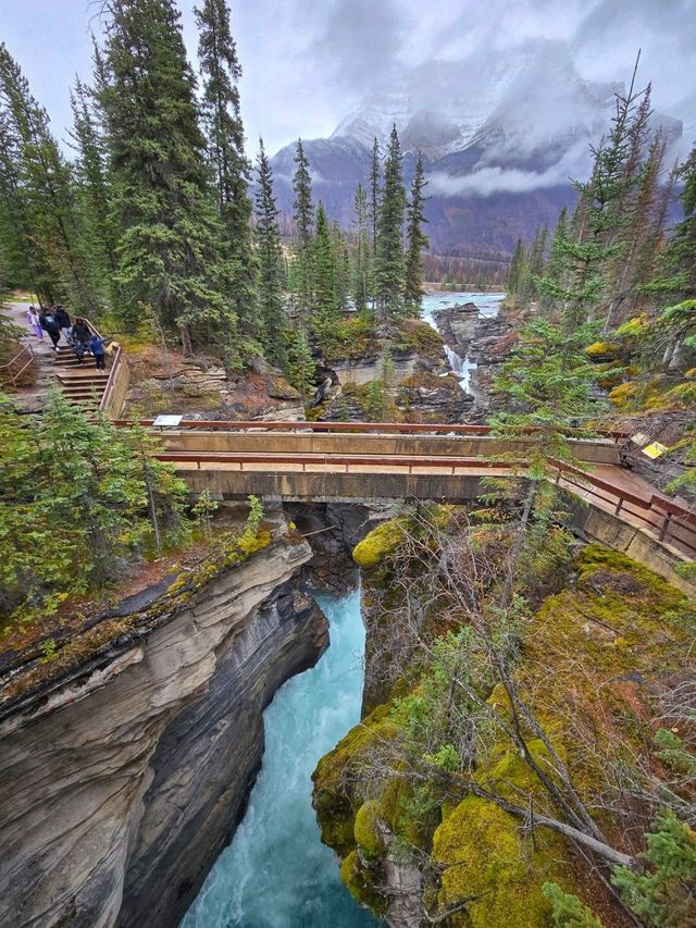 สุดยอดน้ำตกสวยแห่งเมือง Jasper, Canada
