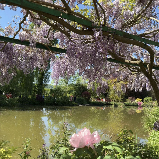 Hidden Gem in Paris: The Inspiring Garden of Monet’s Home 🎨🌸