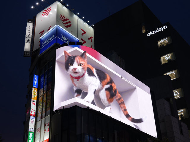 🌆【東京・新宿】昼も夜も楽しめる、ネオンで多彩な街の魅力ガイド