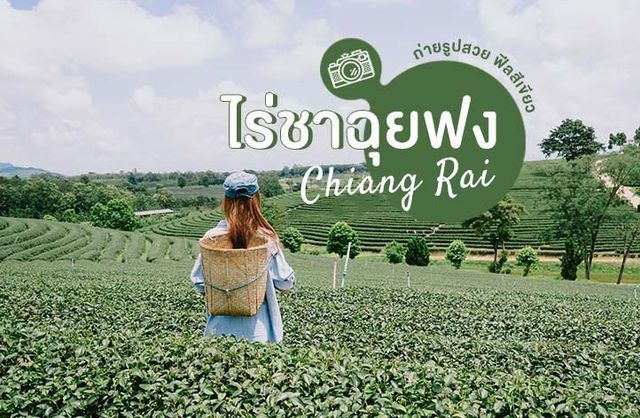 ไร่ชาฉุยฟง ที่เที่ยวเชียงราย ถ่ายรูปสวย 