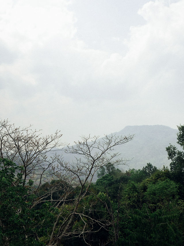 Mae Rim Queen SiriKit Botanic Garden Escape 🌵