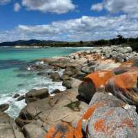 Bay of Fires – TAS