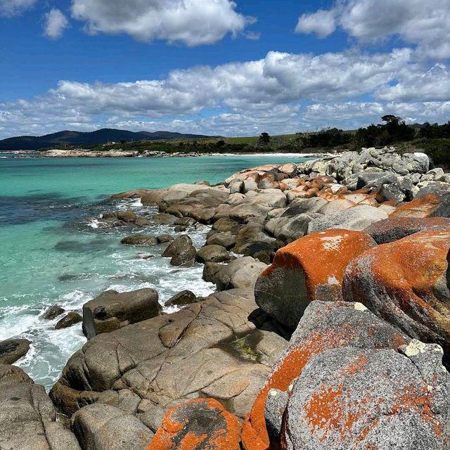 Bay of Fires – TAS
