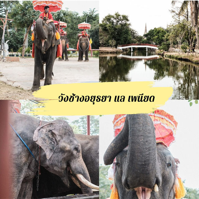 แจกแพลนเที่ยวอยุธยาวันเดียว