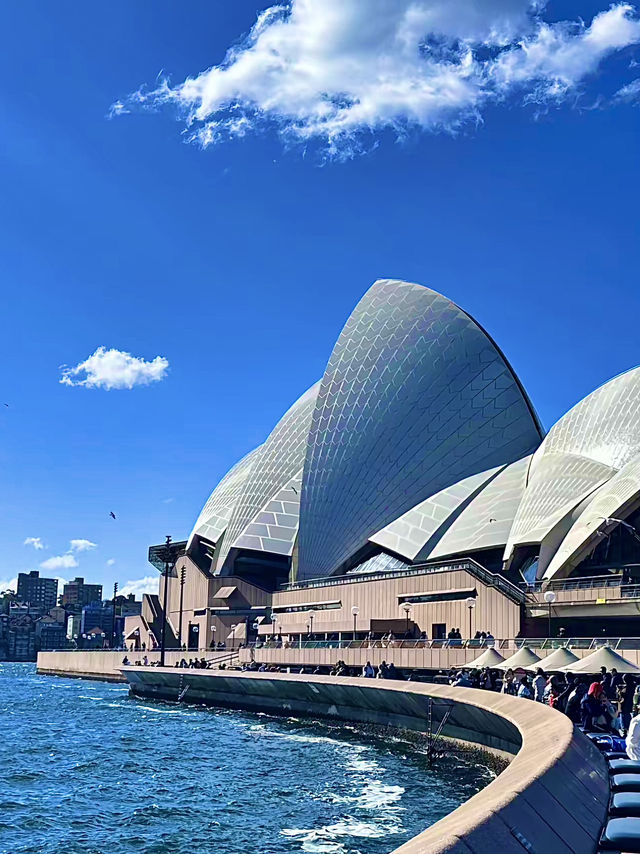 ออสเตรเลีย🇦🇺