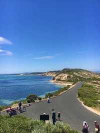 ออสเตรเลีย🇦🇺