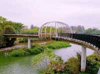 Canopy Bridge