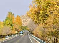 Xinjiang Urumqi’s Autumn Vibes Hit Different