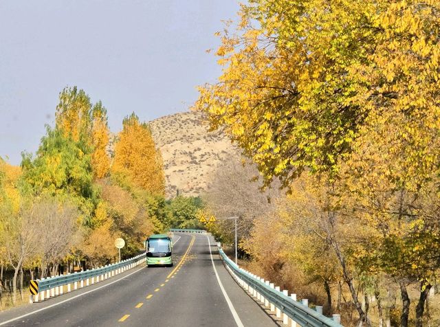 Xinjiang Urumqi’s Autumn Vibes Hit Different