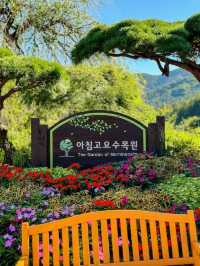 Wandering Around Achimgogyo Arboretum
