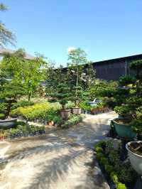 Unexpected Coffee Escape: Nature Meets Noms in Desaru
