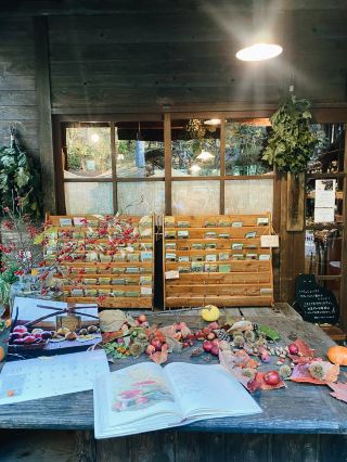 🌿 Tateshina Herbal Note Simples — A healing herbal salon surrounded by the forest