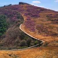 Hwawangsanseong Fortress Vibes in Changnyeong