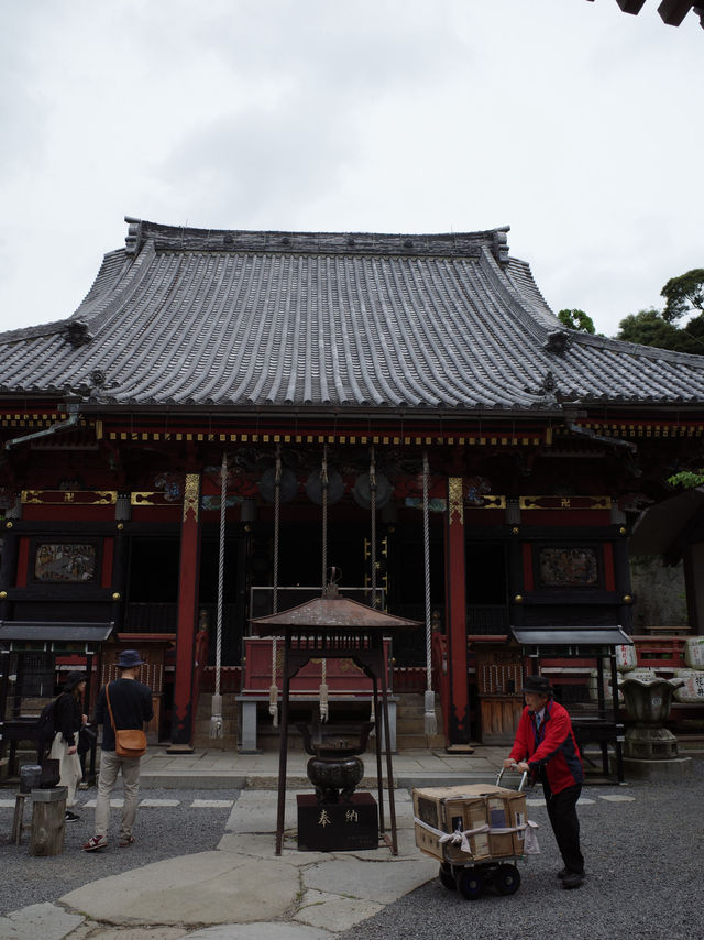🙏【茨城・桜川市 雨引観音（雨引山楽法寺）】紫陽花に包まれるパワースポットで癒しとご利益の旅 