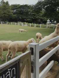 The Scenery Vintage Farm 🌳🍃🎪 สวนผึ้ง