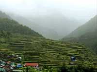 The mystifying wonder of Banaue Rice terraces
