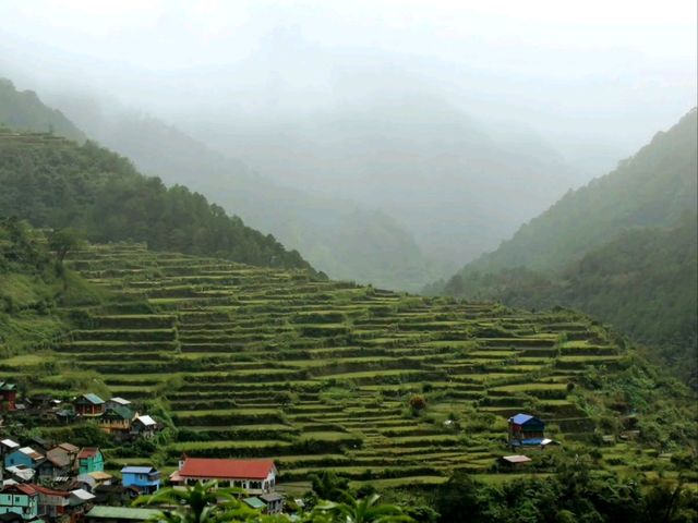 The mystifying wonder of Banaue Rice terraces