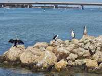 Getting peace in your discovery in Perth