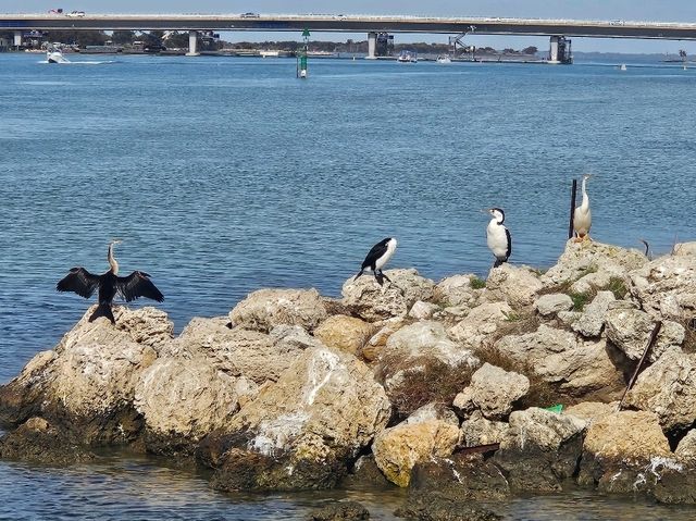 Getting peace in your discovery in Perth