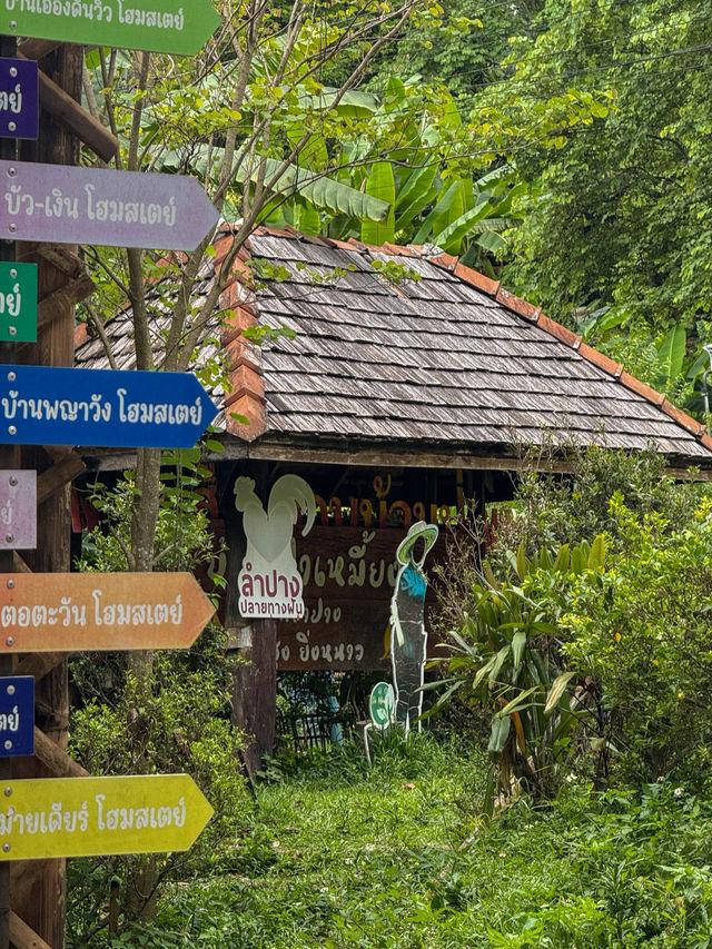 ฤดูฝนที่บ้านป่าเหมี้ยง จ.ลำปาง 🏡⛰️🌧️🌳