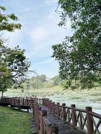Nature’s Hidden Gem: Discover the Wild Beauty of Taman Wetland Putrajaya!