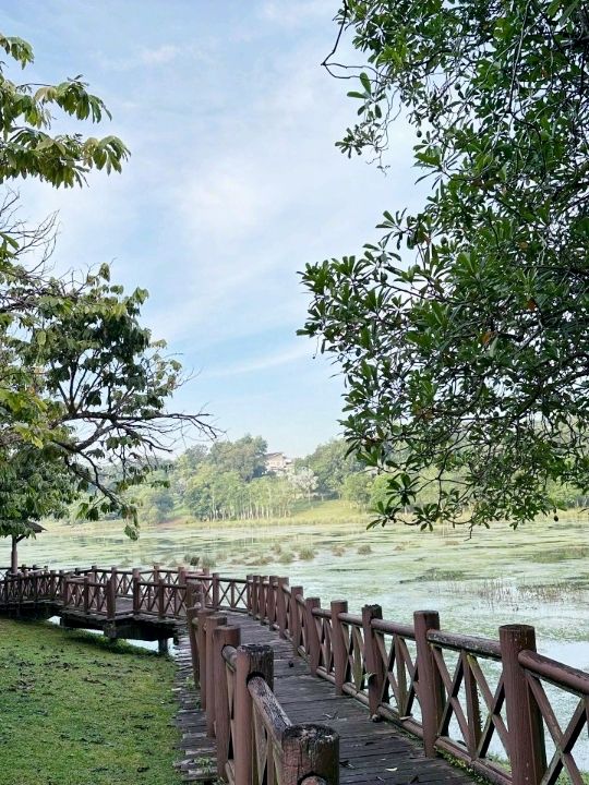 Nature’s Hidden Gem: Discover the Wild Beauty of Taman Wetland Putrajaya!