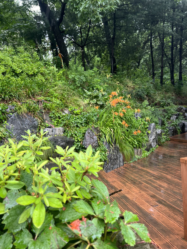 일자산 숲길여행