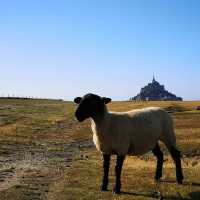 🏰🌊 Le Mont-Saint-Michel Summer Guide: A Medieval Marvel in Normandy  