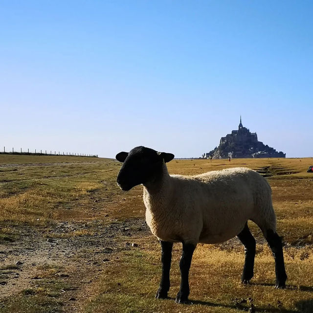 🏰🌊 Le Mont-Saint-Michel Summer Guide: A Medieval Marvel in Normandy  