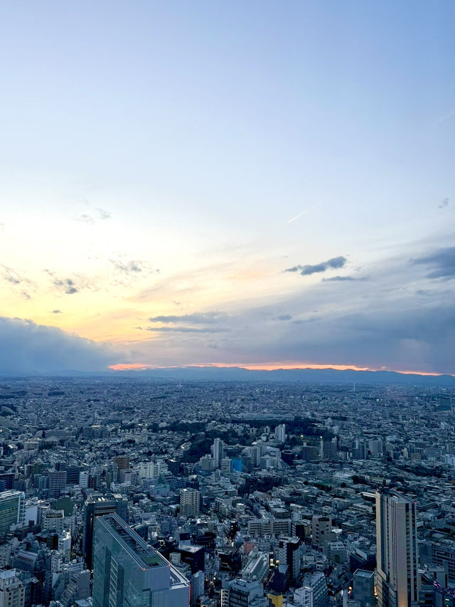 📍 도쿄에서 하루쯤은 천천히, 키치조지에서 시부야까지