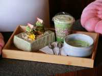 SAFARI Matcha Bar Khaoyai 