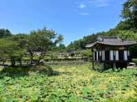 Temple Vibes & Beach Breezes at Gangmun’s Anmok Beach
