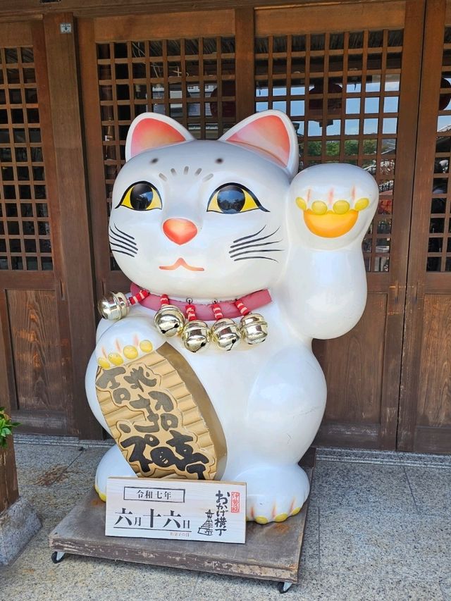 伊勢神宮前托福橫丁的療癒小角落〔招福亭喵喵神社〕🐾🎊