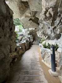 Hong Kong Park, Urban Oasis in the Heart of the City