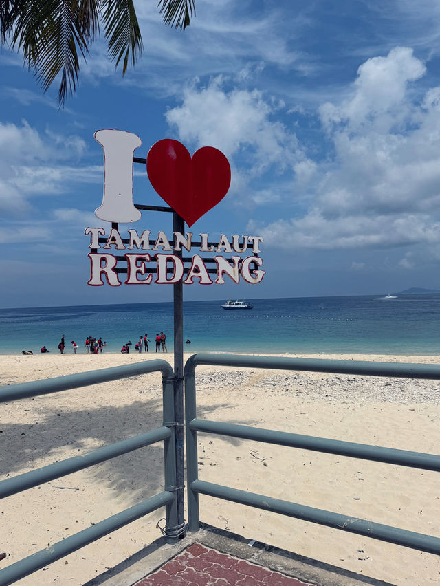 Diving into Paradise: The Magic of Pulau Redang’s Sea 🌊✨