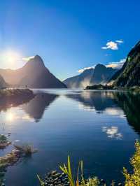Milford Sound isn’t just a destination — it’s an experience in motion. 